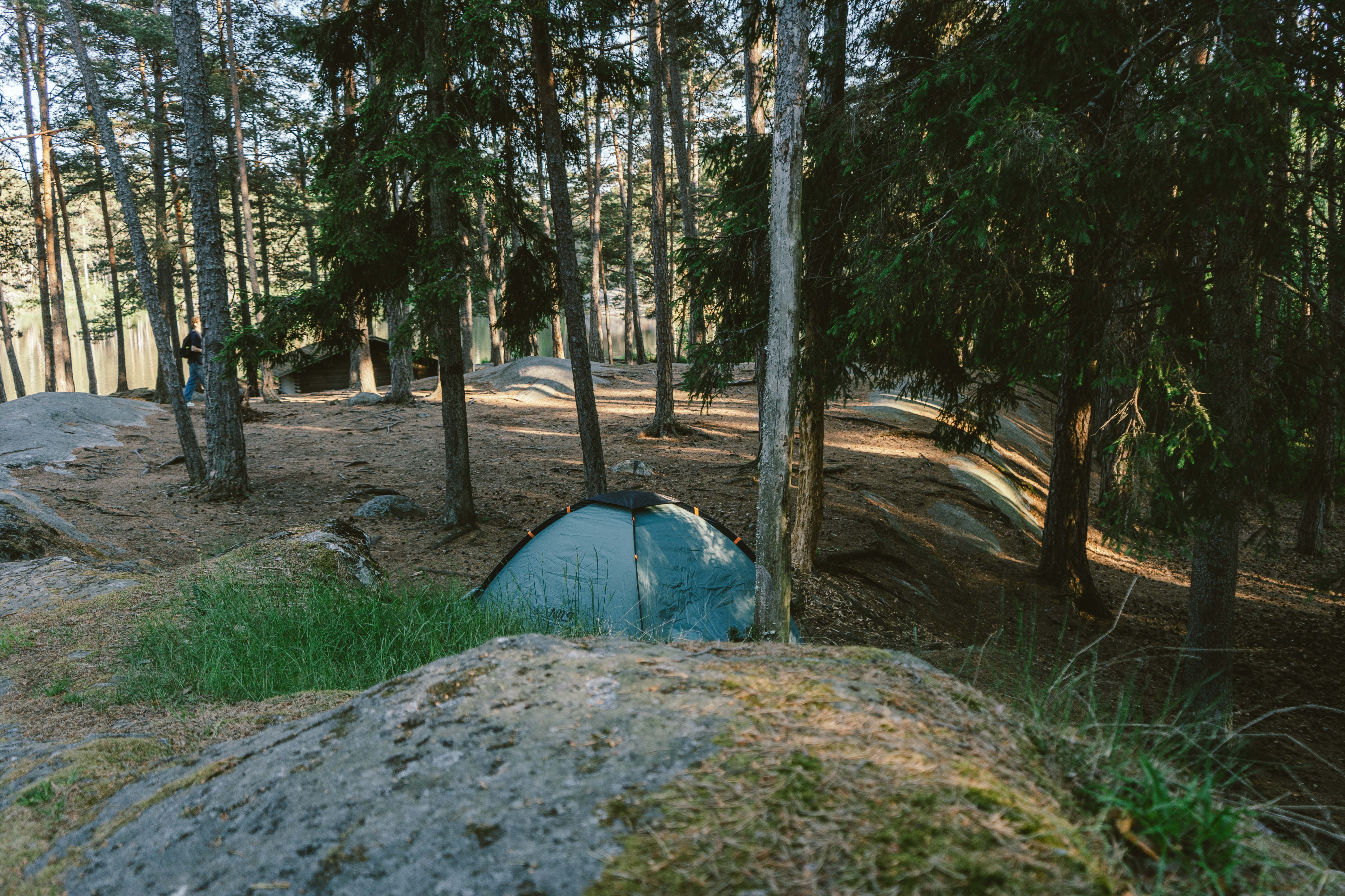 Wildkamperen